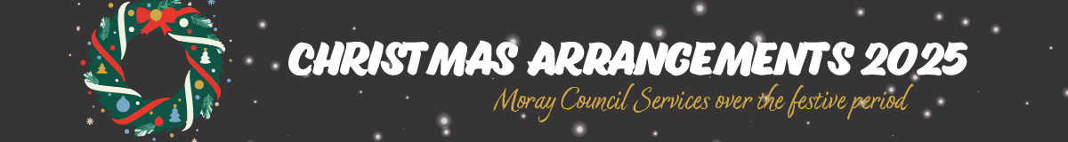 Christmas Arrangements