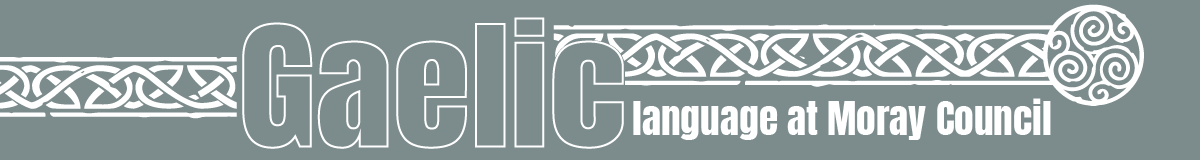 Basic Gaellic phrases 26