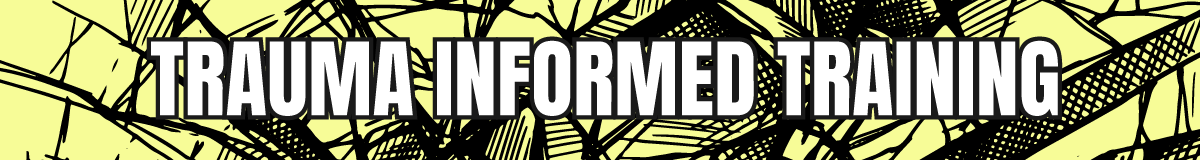 Trauma Informed Training 26